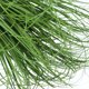 thumbnail image 2 of 12 Uds. De hierba de simulación, decoración de plantas para el hogar, adornos de plantas artificiales, decoración de hierba, 2 of 8