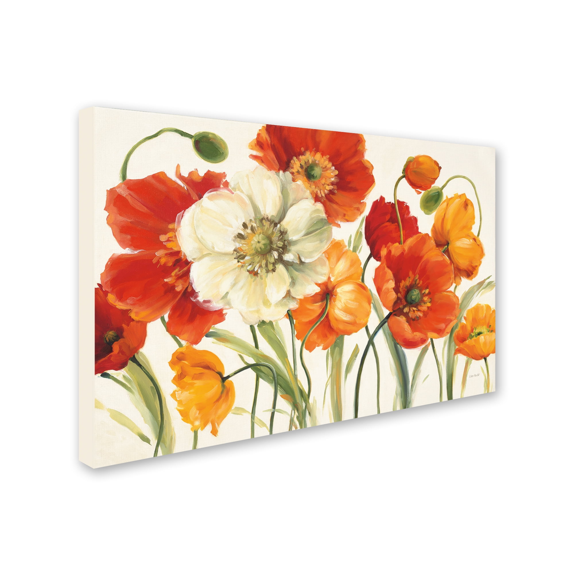 Trademark Fine Art 12x19 Floral Canvas Wall Art 'Poppies Melody I' by Lisa Audit