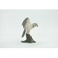thumbnail image 4 of Bird, Falcon, Genus Falco, Peregrine, Museum Quality, Hand Painted, Rubber, Realistic, Figure, Replica, Toy, Kids, Educational, Gift, 3 1/2" CH641 BB168, 4 of 9