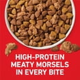 thumbnail image 4 of Purina ONE Lamb and Rice Formula Dry Dog Food, 8 lb, 4 Pack, 4 of 13
