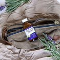 thumbnail image 4 of Dental Herb Company - *TRAVEL SIZE* - Tooth & Gums Tonic **(2 FL OZ.)**, 4 of 5