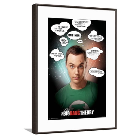The Big Bang Theory – Quotes Canvas Wall Poster 14.725 x 22.375