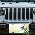 thumbnail image 5 of Hummingbird in a Water colored Scene Front License Plate, Metal License Plate, Funny Standard Plates Personalized Novelty Decorative For Men/Women/Boys/Girls Car 6×12 Inch, 5 of 6