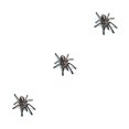 thumbnail image 1 of sweethay 3D araña lagarto escorpión 3D pegatina parachoques cuerpo PVC adhesivo ventana espejo adhesivo Decoración Type7 NO7 sweethay CBP144655, 1 of 6
