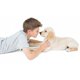 thumbnail image 5 of Cepillo De Dientes Para Perros, Cepillo De Dientes Eléctrico Para Mascotas, Placa De Cálculo Para Mascotas, Limpiador De Dientes, Cuidado Dental Para Perros Y Gatos Noticed PT002671-01, 5 of 6