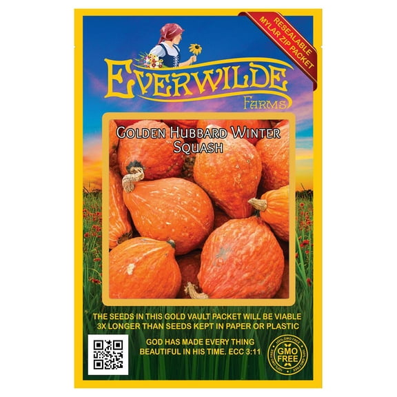 Everwilde Farms - 40 Golden Hubbard Winter Squash Seeds - Gold Vault Jumbo Bulk Seed Packet