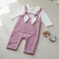 thumbnail image 2 of Conjunto Jumper/Pañalero Baby Creysi 3M Conejito Rosa, 2 of 4