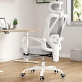 thumbnail image 6 of BISHE Ergonomic Office Chair with Footrest & Adjustable Headrest, Reclining Computer Chair with Customizable Lumbar Support, Breathable Mesh Back & Seat, 360° Swivel Wheels, Gray, 6 of 8