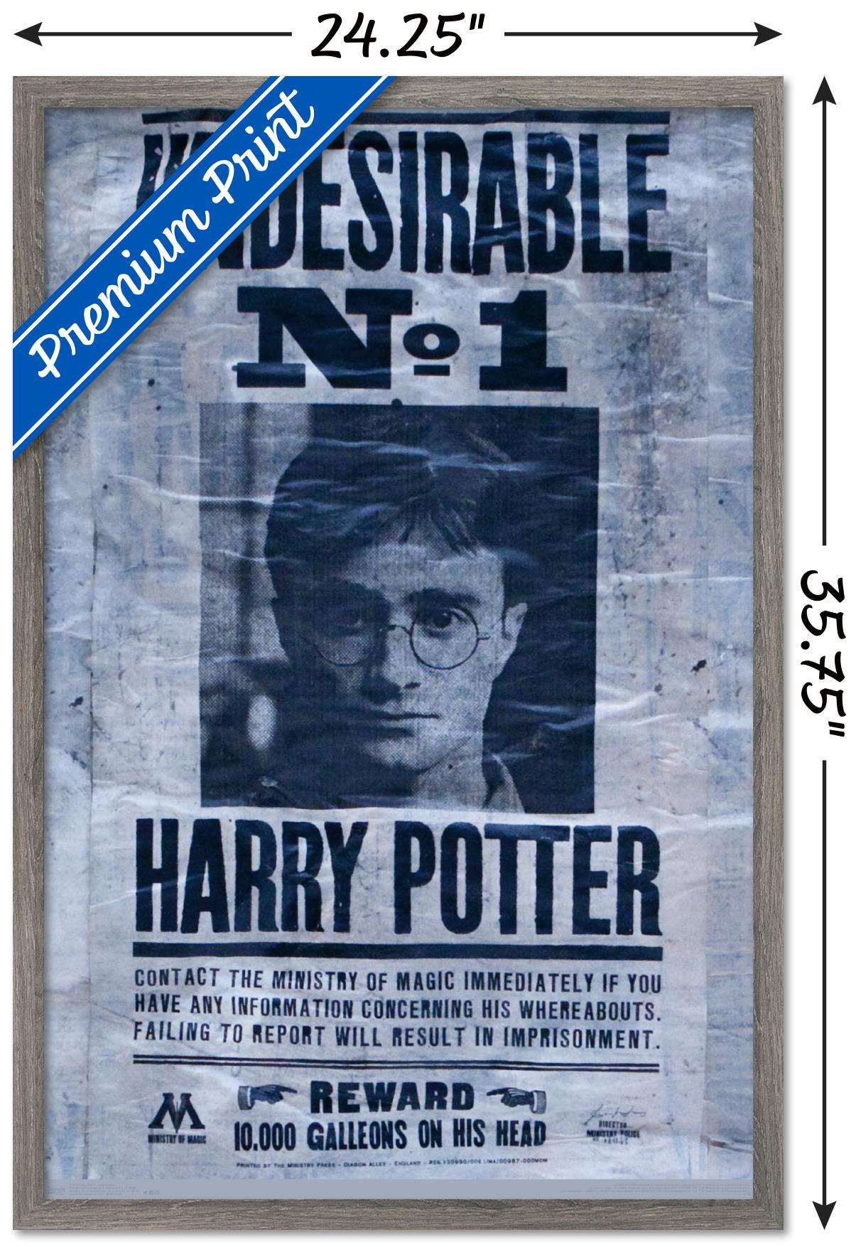 The Wizarding World: Harry Potter - Undesirable Wall Poster, 22.375" x 34", Framed