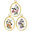 thumbnail image 1 of Janlynn 004-0864 Fournitures de Point de Croix pour Colibris, Multicolore, 1 of 2