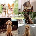 thumbnail image 2 of . Cadena Para Perro, Cadena Cubana De Diamantes, Collar De, 2 of 6