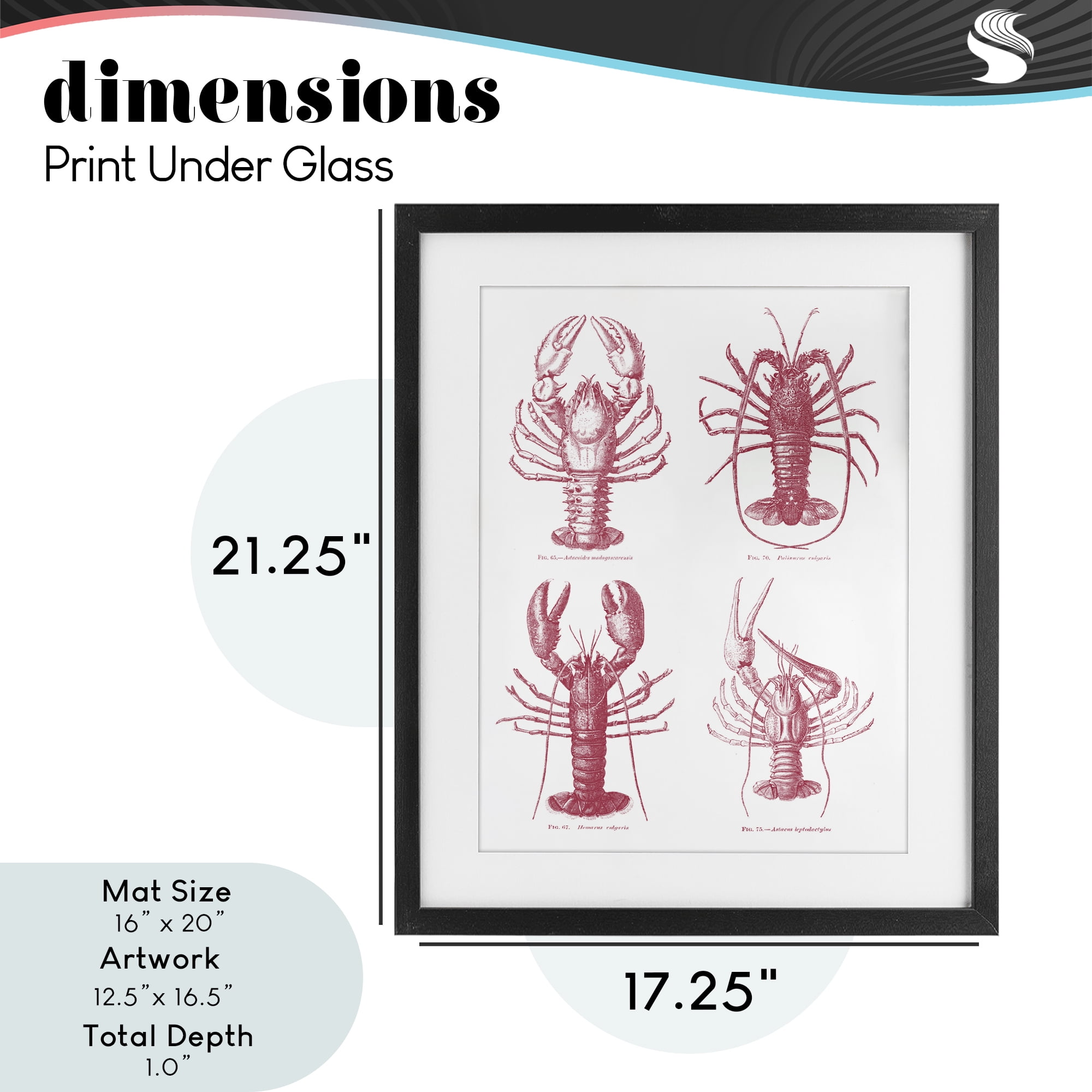 Timeless Lobsters Species Black Framed Print Under Glass, design by Lettered and Lined