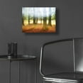 thumbnail image 5 of Epic Art 'Blurred Trees' by Thomas Haney, Acrylic Glass Wall Art, 16"x12", 5 of 8