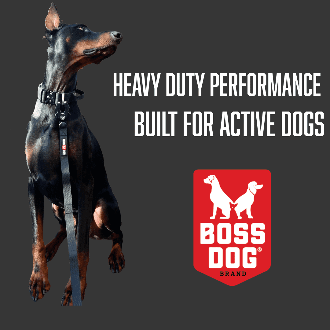 Boss Dog Tactical Collar, Black, Medium