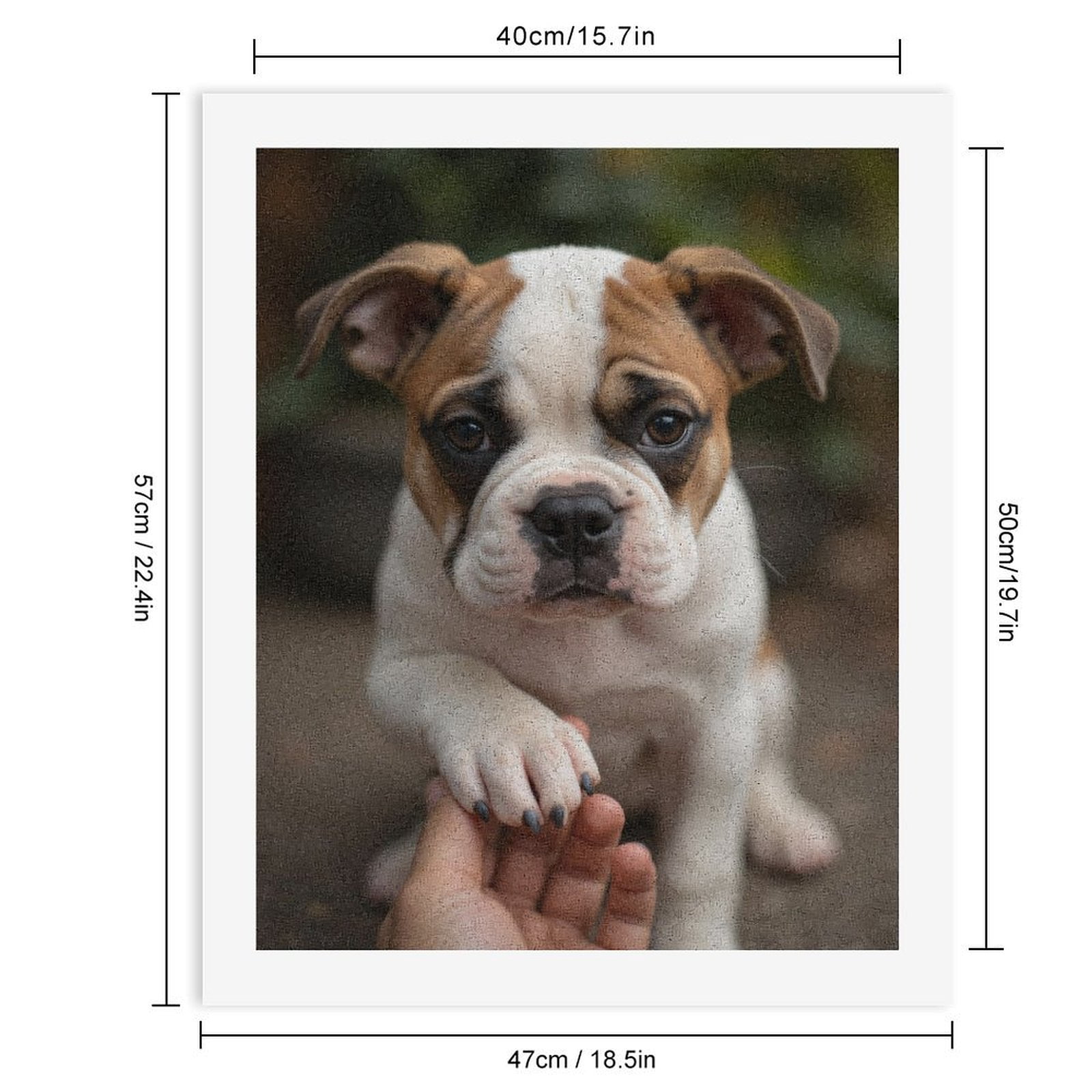 Paint by Numbers Kit for Adults, Adorable Puppy Paw Shake Paint by Numbers, Easy Paint by Numbers Kit for Adults Beginner, DIY Adult Paint by Number Kits on Canvas, Home Decor 12x16in