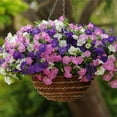 thumbnail image 4 of SHSLING Petunia Seeds - Perfect For Outdoor Courtyard, Balcony Planting And Lawn Garden 100 Seeds, 4 of 4