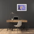 thumbnail image 3 of Jaynes Gallery 32x23 White Modern Wood Framed Museum Art Print Titled - California Campanella flower detail, 3 of 4