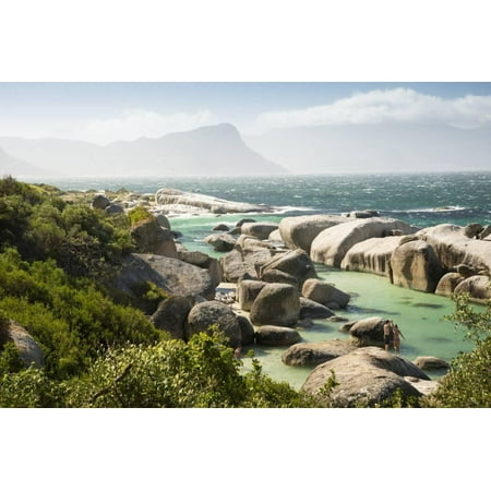 - Second Beach at High Tide with Boulders Visible, Boulders Beach National Park, Simonstown Print Wall Art By Kimberly Walker
