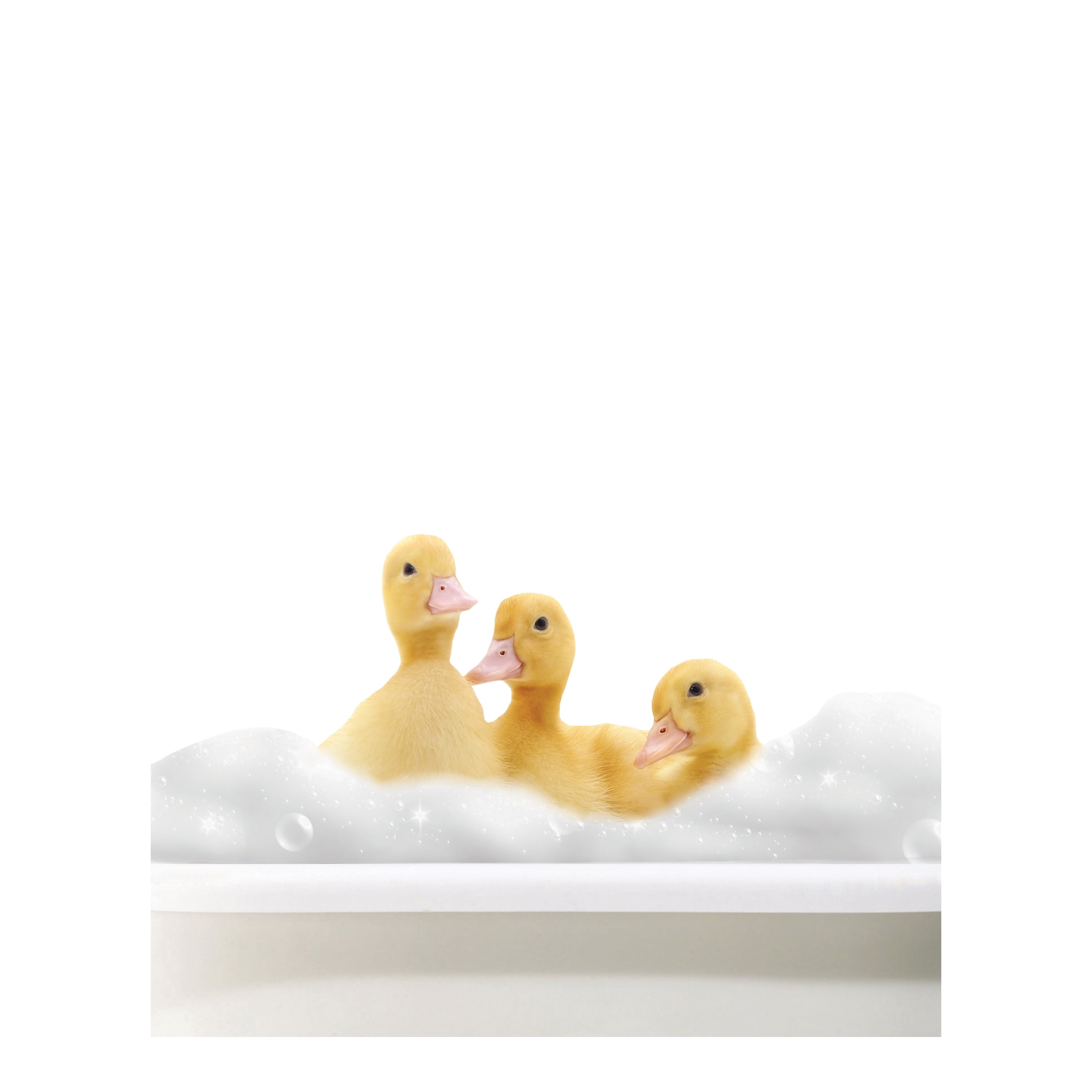 (2 pack) DesignOvation Baby Animal in Tub Unframed Art Print 8” x 10” Set of 3 by The Creative Bunch Studio