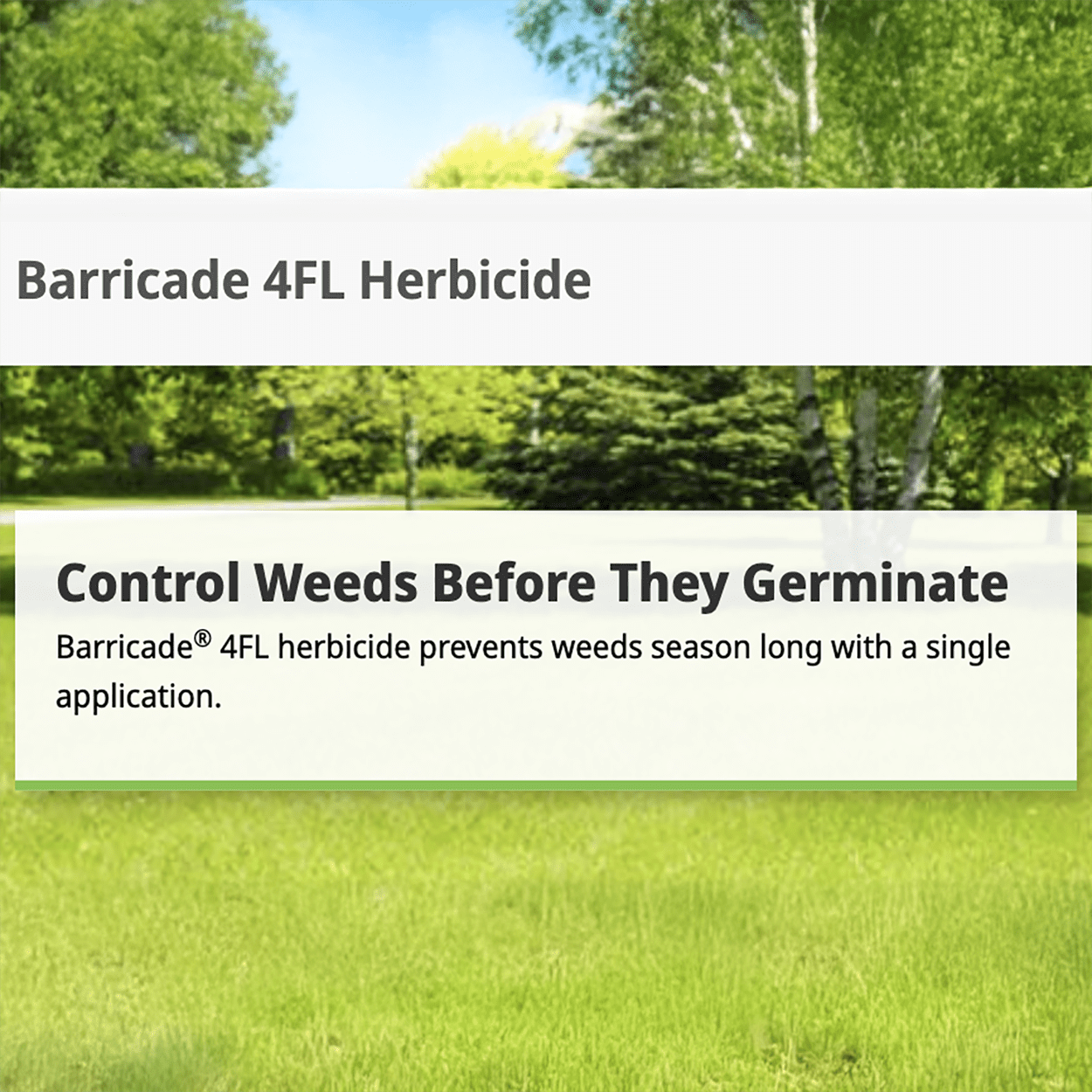 Barricade 4FL Selective Pre-Emergent Herbicide - 128 fl oz Jug by Syngenta