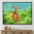 thumbnail image 2 of Two Giraffes Fighting In Lush Green Wild 32 in x 24 in Framed Photography Canvas Art Print, by Designart, 2 of 5