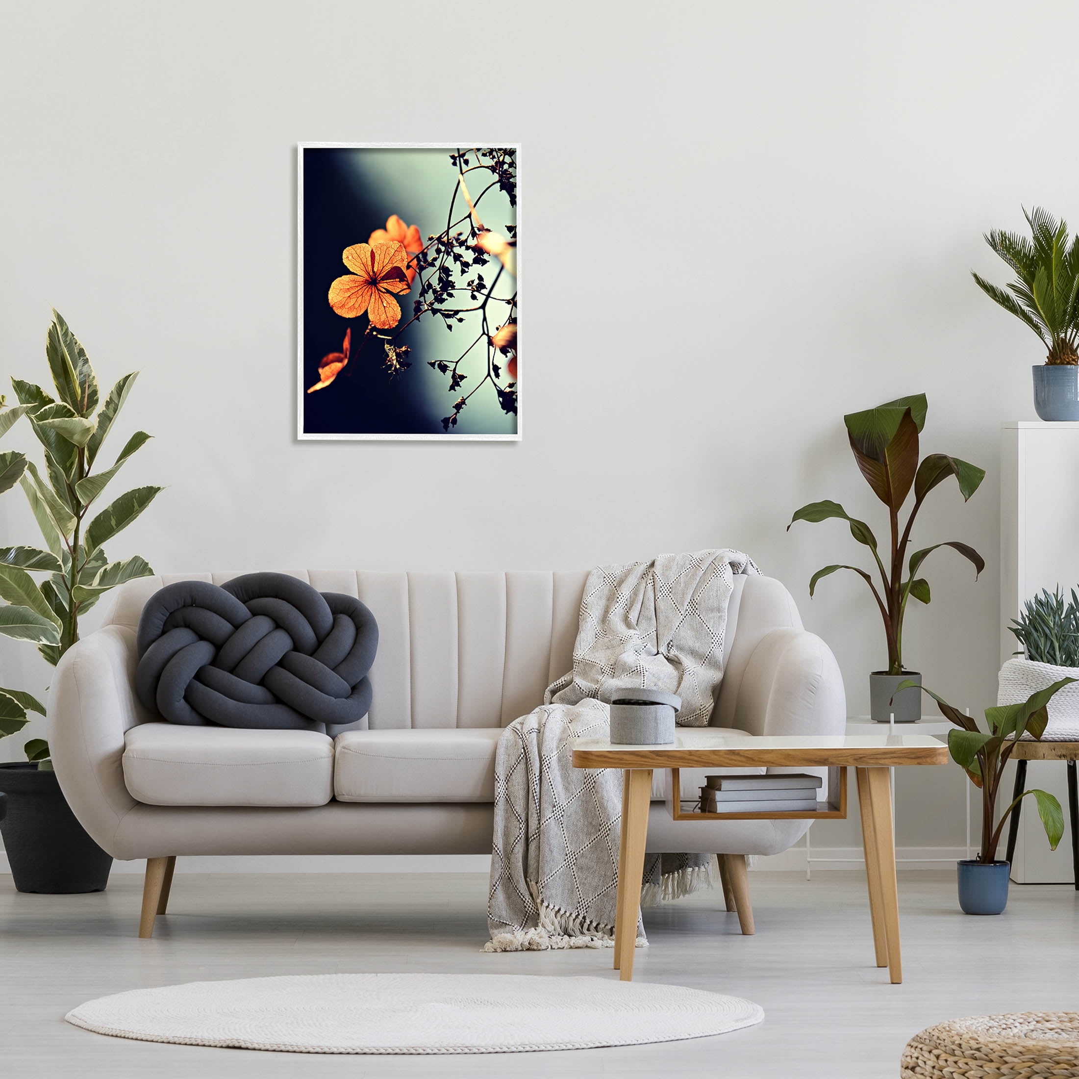 Stupell Industries Sunlit Detailed Floral Petals Photograph White Framed Art Print Wall Art, Design by Lil' Rue