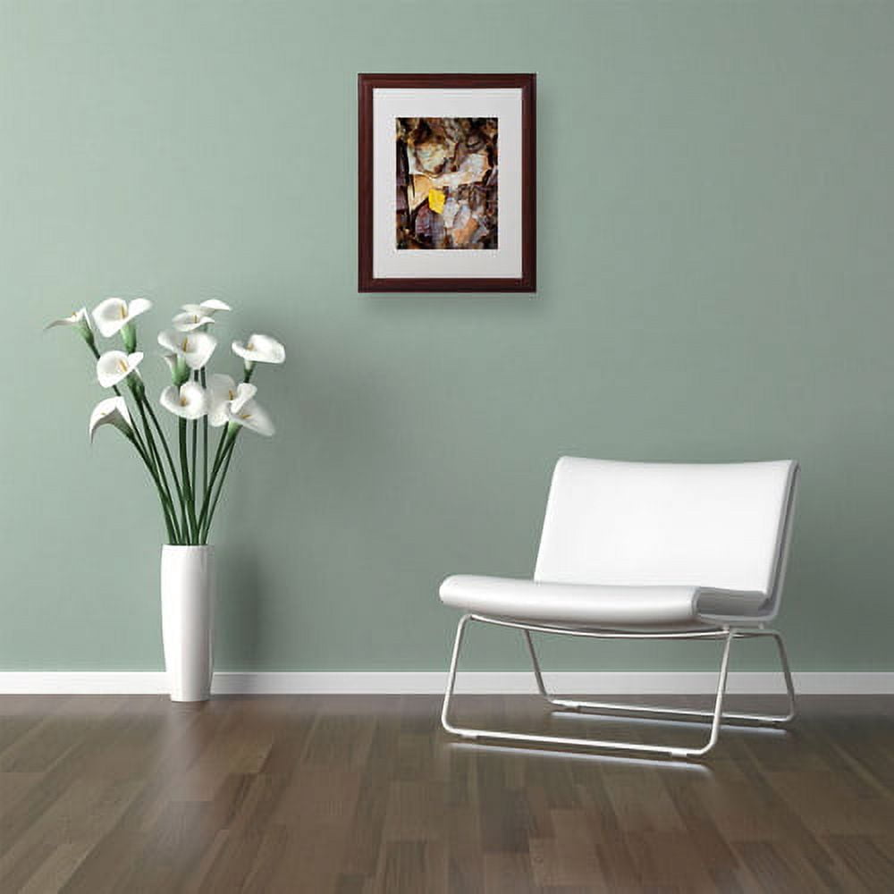 Trademark Fine Art "Birch Leaf" Canvas Art by Kurt Shaffer, Wood Frame