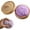 Purple A41, variant on 2026 Giant Glitter Dumpling Squishy with Steamer Box,Super Soft Mega Rainbow Dumplings Stress Ball,Large Anxiety Relief Slow-Rising Decompression Dough for Adults Elderly(1PCS）