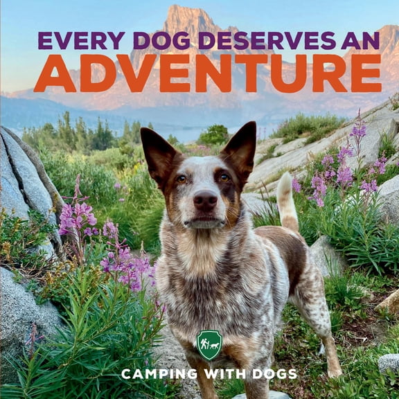 Pre-Owned Every Dog Deserves an Adventure: Amazing Stories of Camping with Dogs, (Hardcover)
