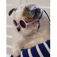 thumbnail image 3 of Gafas de sol para perros de razas pequeñas hasta 7 kg (paquete de 2), 3 of 7