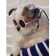 thumbnail image 3 of Gafas de sol para perros de razas pequeñas hasta 7 kg (paquete de 2), 3 of 7
