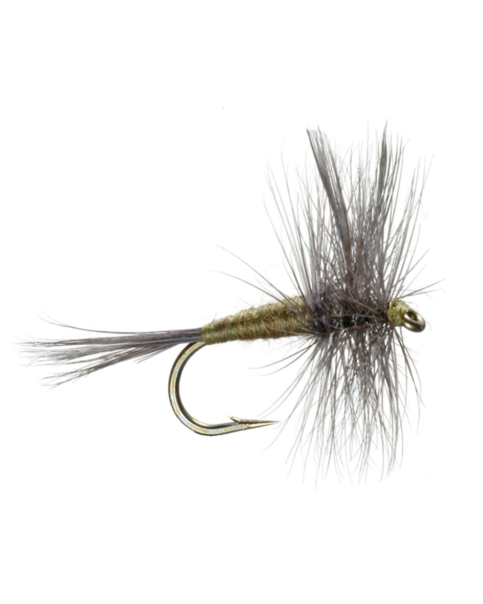 Umpqua Blue Wing Olive Fly Fishing Dry Flies Multipacks