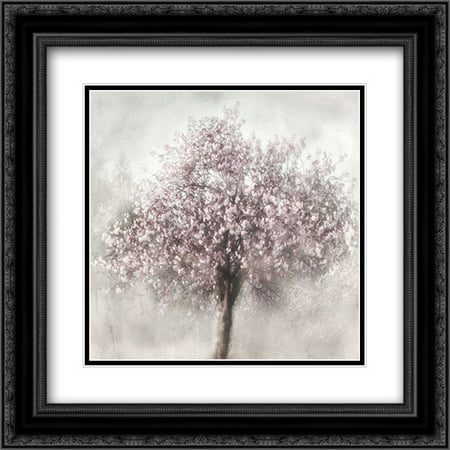 Blossoms of Spring II 2x Matted 20x20 Black Ornate Framed Art Print by Weisz,