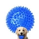 thumbnail image 1 of Pelota de Juguete para Perros Pequeños y Medianos Resistente a Mordeduras de Pelota Puntiaguda Azul, 1 of 9