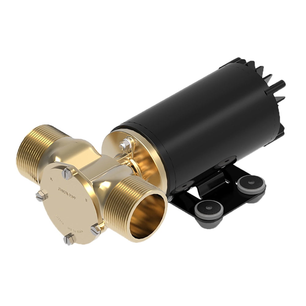 Johnson Pumps 102493918 Rapid Rogue Ballast Pumps 30Gpm