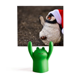 thumbnail image 1 of Pingüino Antártico Navidad Cap Science Nature Picture Estante de notas, estante de ranas de animales de dibujos animados, 1 of 3