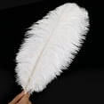 thumbnail image 3 of 20 Pcs White Ostrich Feathers,8-10 inch (20-25cm)Feathers, Feathers for Crafting,Craft Feathers for Centerpiece Table Decorations, Home Decorations, Black Party Decorations, 3 of 6