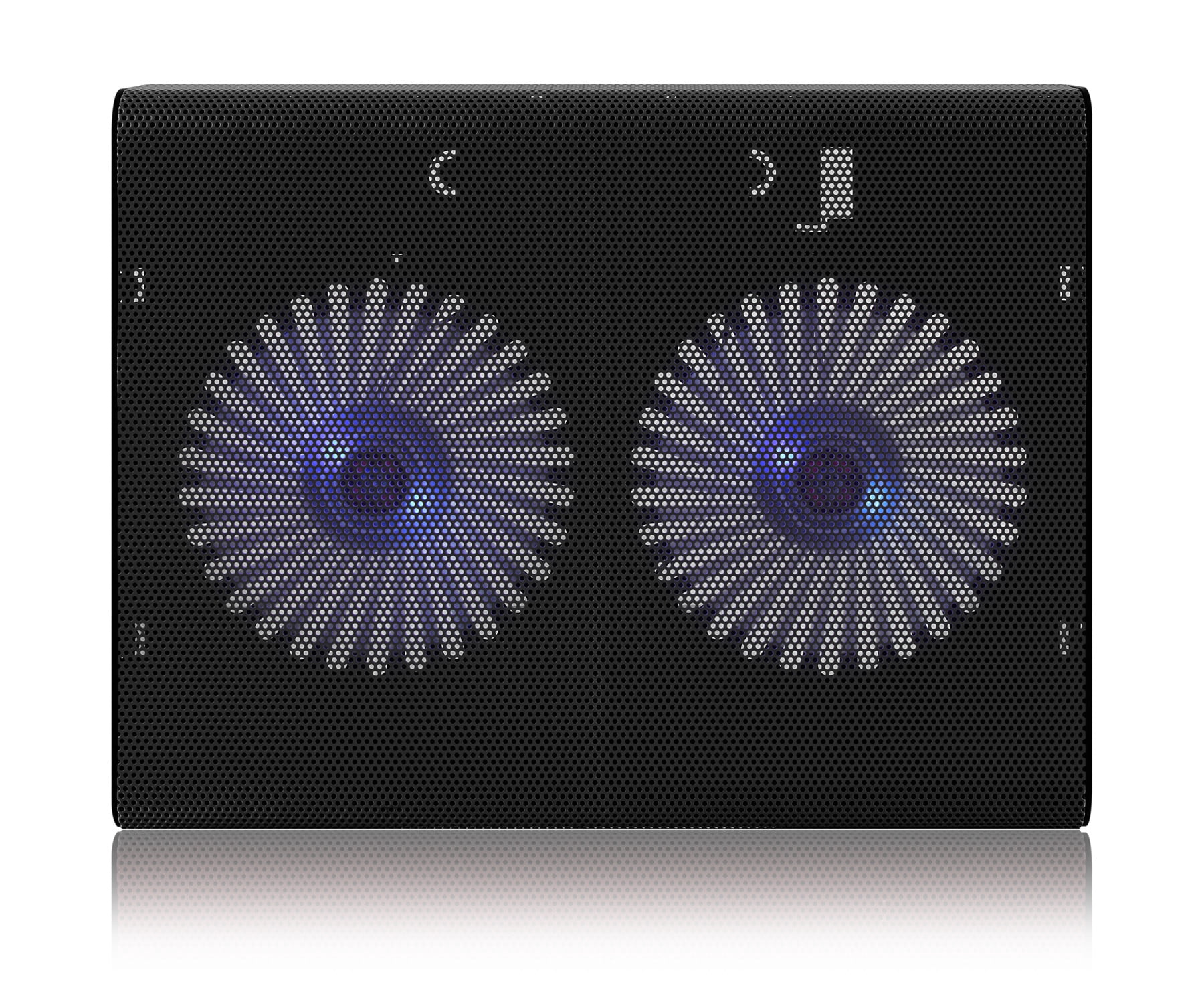 Aluratek ACP01FB - Slim & Portable USB Powered Laptop Cooling Pad with Quiet Dual Fans, Supports up to 17" Laptop and Macbook, Black