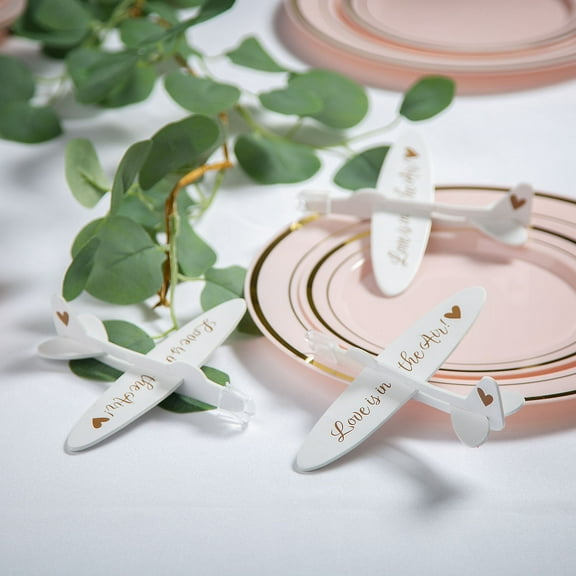 Fun Express Love is in the Air Airplane Wedding Favors - 12 Pc