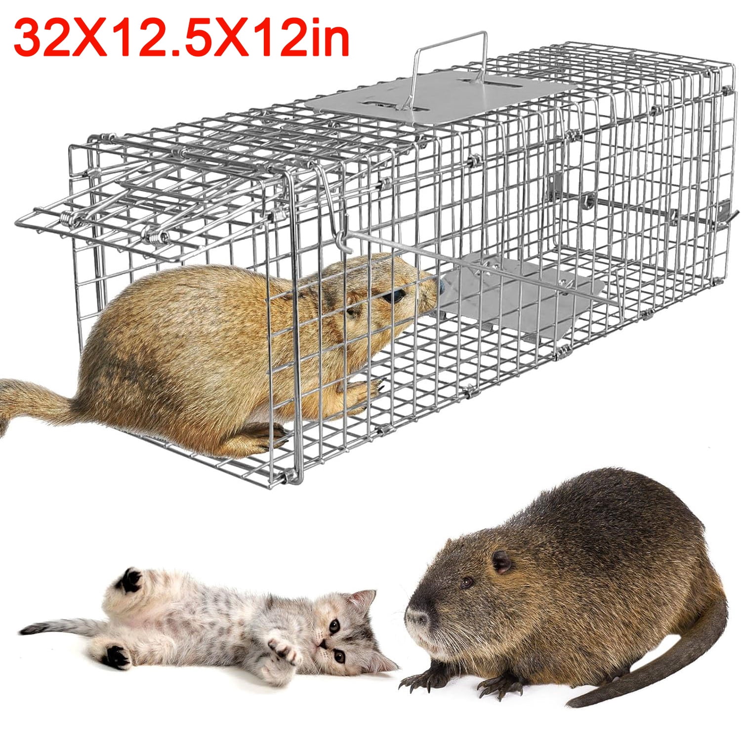 Humane Live Cat Cage 30inch Galvanized Wire Catch Release Collapsible Animal Rodent Cage for Raccoons Beavers Groundhogs Foxes Armadillos Under 16.5lbs