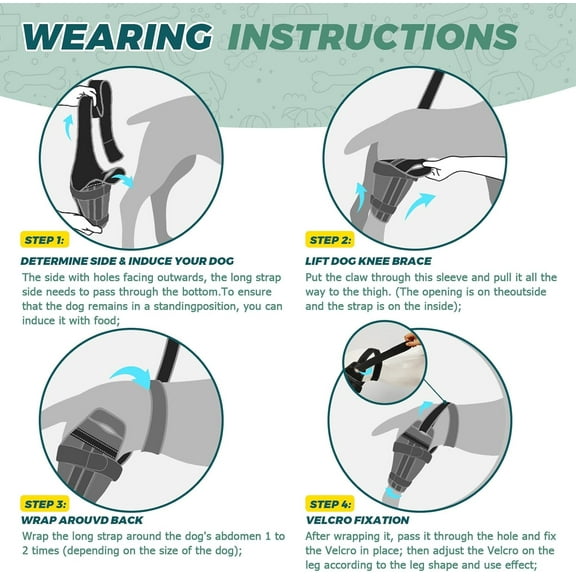 Dog Knee Brace for Torn Acl Hind Leg – Adjustable Support Brace with 2 Stabilizer Support to Reduces Pain, Ligament Injuries & Luxating Patella for Small Medium Large Dogs (Right Leg, M)