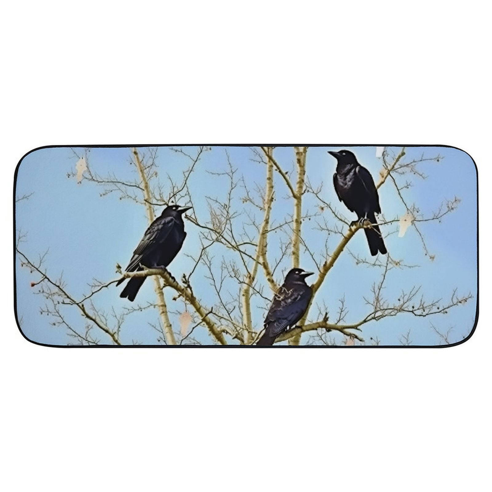 Qinduosi Decorative Door Mat, Door Mat with Non-Slip Rubber Backing, Easy Cleaning, Traps Dirt, for Entry, Patio, Garage - Crow Bird Animal Corvus Wildlife Sitting Plumage 19.68*47.24 in
