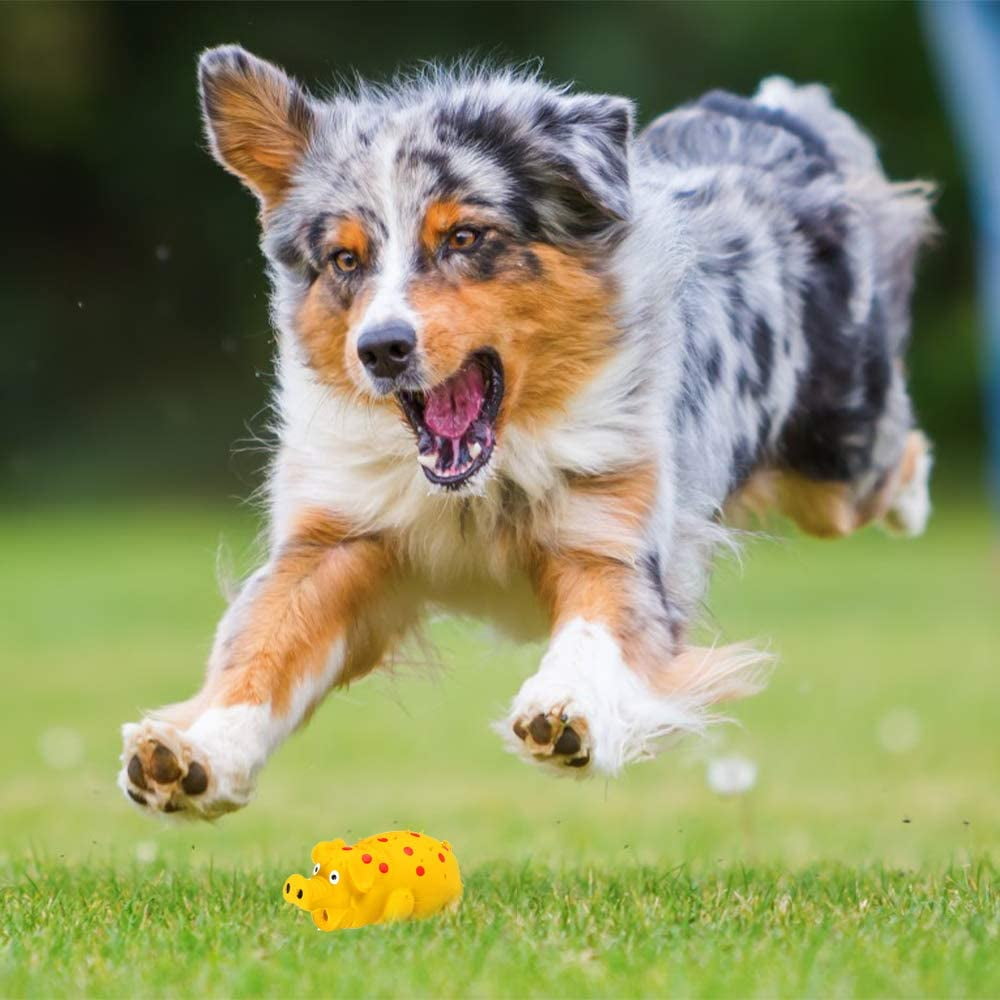 Dog Diggin Designs Runway Pup Collection | Unique Squeaky Plush Dog Toys –  Prêt-à-Porter Dog Bones, Balls & More