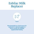 PetAg Esbilac Powder Milk Replacer for Puppies and Dogs with Prebiotics