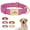 Hot Pink, variant on Pet Artist Soft Leather Personalized Dog Collar for Small Medium Large Dogs Metal Buckle