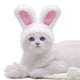 thumbnail image 3 of Gorro Ajustable De Lana De Algodón Cómodo Cálido Lindo Conejo Blanco Para Mascota Guardurnaity PT001289-00, 3 of 6