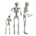 thumbnail image 6 of Ceiling Skeleton with Movable Joints Realistic Human Body for Halloween Party Decoration Haunting House Jewelry, 6 of 9