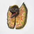 thumbnail image 5 of Deinonychus Wall Pendant Latex Foam High Reduction Effect Bar Living Room Decora, 5 of 5