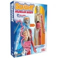 thumbnail image 1 of Cuerpo Humano Squishy SmartLab 21 Piezas 834509000540, 1 of 2