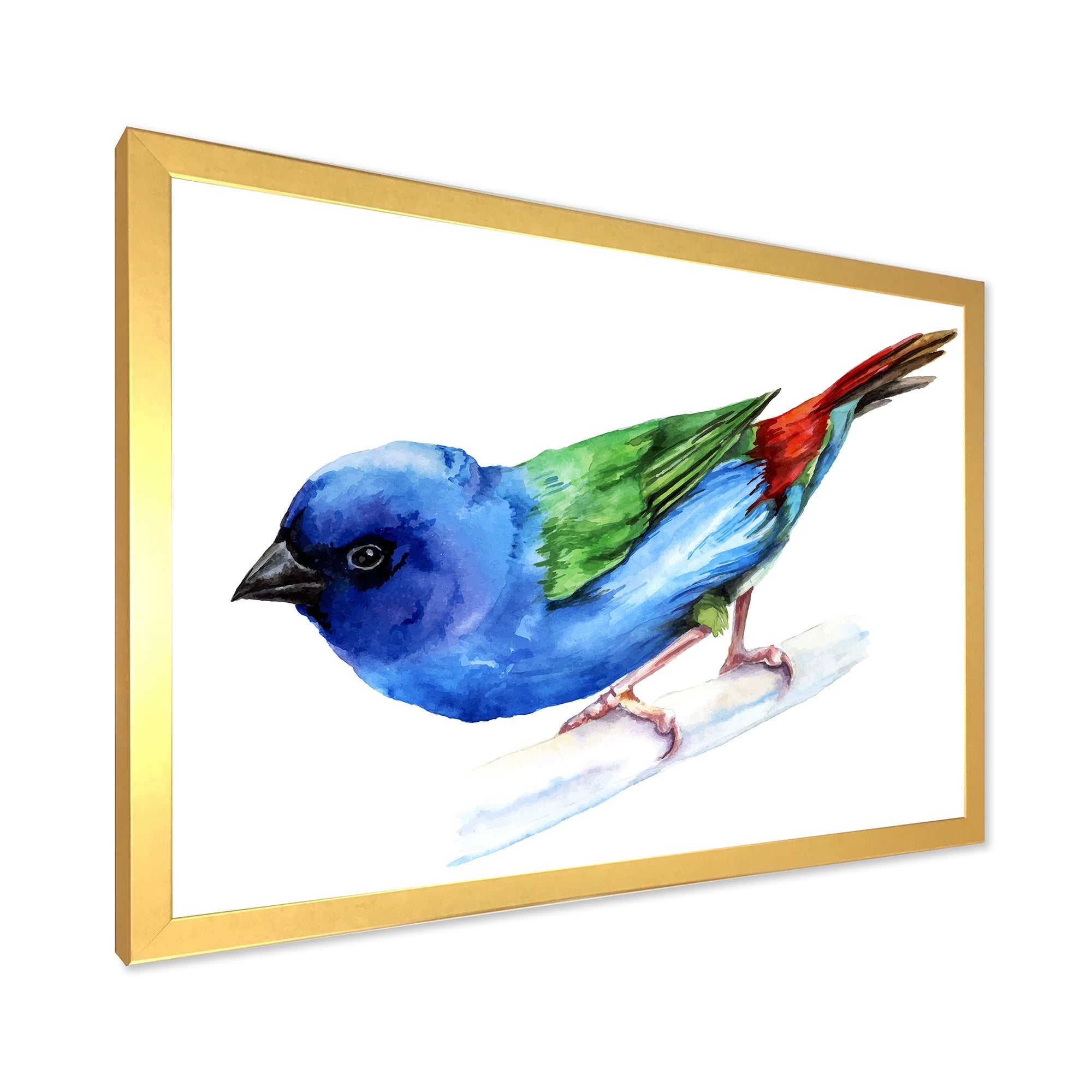 Designart 'Forbes Finch Bird On Branch' Traditional Framed Art Print